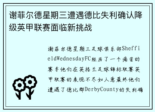 谢菲尔德星期三遭遇德比失利确认降级英甲联赛面临新挑战